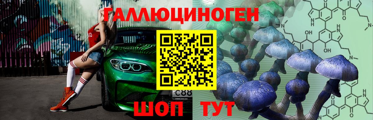 Галлюциногенные грибы Magic Shrooms Ставрополь