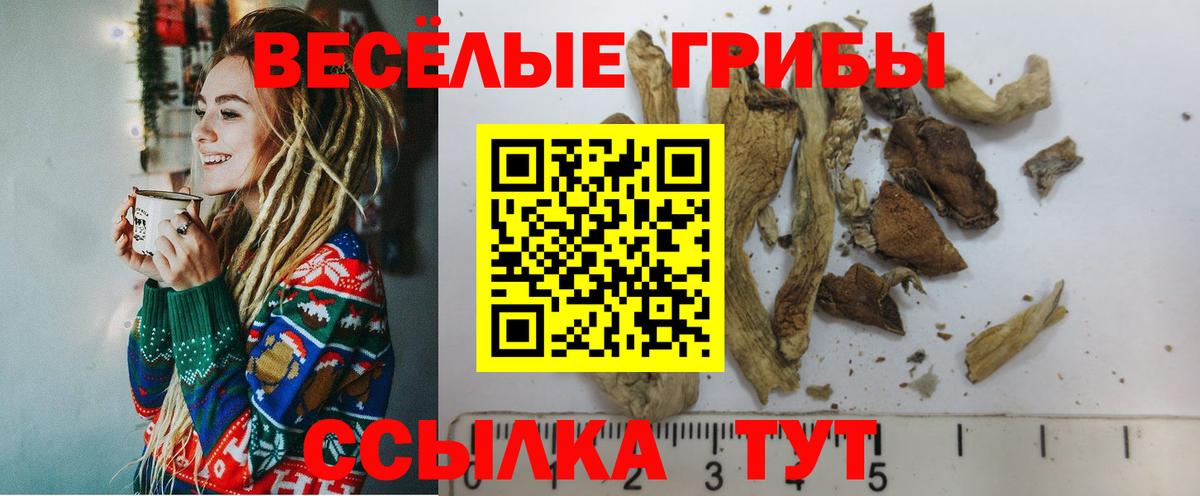 Галлюциногенные грибы Psilocybine cubensis  Вход с VPN  Ставрополь 