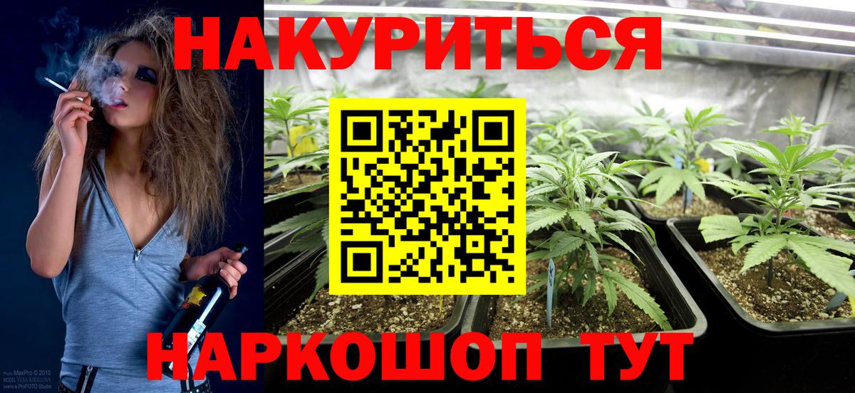 МАРИХУАНА планчик Ставрополь